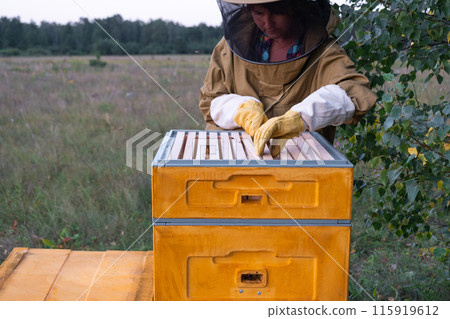 A beekeeper, a woman in a protective suit against bee stings, holds a frame with honey from a bee hive in her hands. Beekeeping, care of the hive 115919612