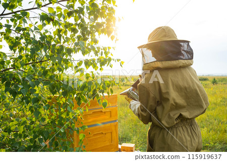 A beekeeper, a woman in a protective suit against bee stings, cigarette lighter fumigates a bee nest with smoke to calm them down. Beekeeping, care of the hive A beekeeper, a woman in a protective suit against bee stings, cigarette lighter fumigates a bee nest with smoke to calm them down. Beekeeping, care of the hive 115919637