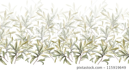Olive branch, no fruit with green leaves. Watercolor botanical floral seamless border, pattern Hand drawn nature leaf illustration for food oil label paper, wallpaper, packaging on isolated background Olive branch, no fruit with green leaves. Watercolor botanical floral seamless border, pattern Hand drawn nature leaf illustration for food oil label paper, wallpaper, packaging on isolated background 115919649
