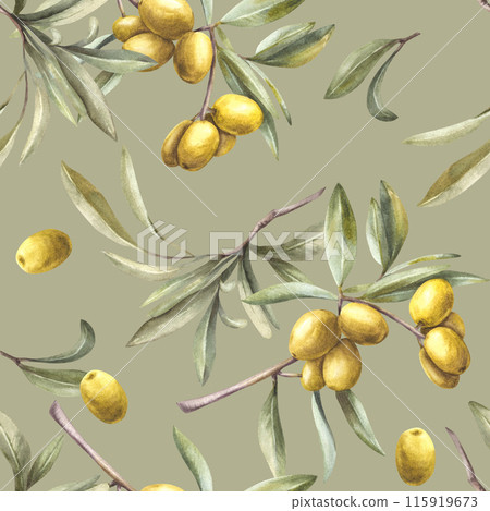 Olive tree branch with leaves and berries. Watercolor seamless pattern. Hand painted illustration. Botanical print for oil food label, floral fabric, summer wallpaper Isolated khaki green background. 115919673