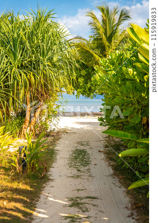 View of paradise beach resort in koh yao noi, Phang Nga, Thailand 115919833