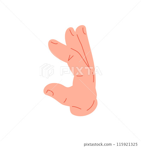 Human hand showing half heart ring catch fingers gesture icon vector flat illustration 115921325