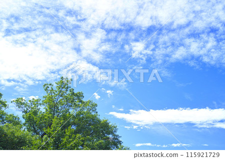 藍色的天空和雲圖像 藍色的天空和雲圖像 115921729