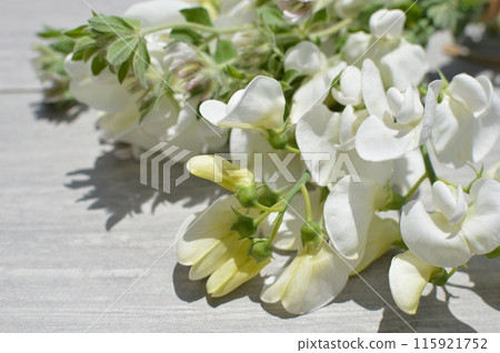 White flowers of summer sweet pea and lotus brimstone 115921752