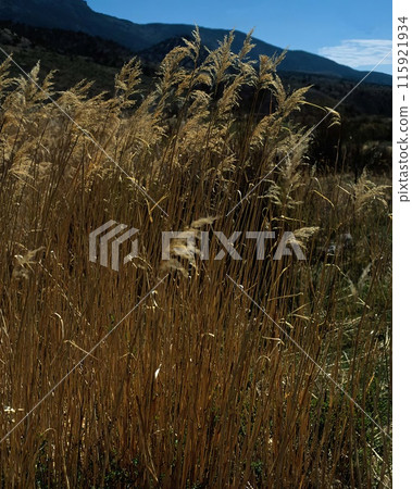Mountains background. High mount, rocks and hills landscape 115921934
