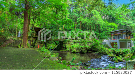 白絲瀑布全景風景「數十萬年前由火山岩形成的美麗的白絲瀑布（又稱「賴姬瀑布」）」阿蘇地區西原村 115923027