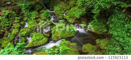 白絲瀑布溪流風景「數十萬年前由火山岩形成的美麗的白絲瀑布（又稱「賴姬瀑布」）」阿蘇地區西原村 115923113