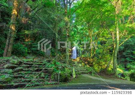 白絲瀑布風景「數十萬年前由火山岩形成的美麗的白絲瀑布（又稱「賴姬瀑布」）」阿蘇地區西原村 115923398