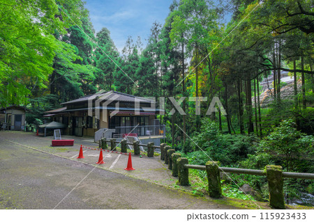 白絲瀑布週邊風景「數十萬年前由火山岩形成的美麗的白絲瀑布(又稱「賴姬瀑布」)」阿蘇地區西原村 白絲瀑布週邊風景「數十萬年前由火山岩形成的美麗的白絲瀑布(又稱「賴姬瀑布」)」阿蘇地區西原村 115923433