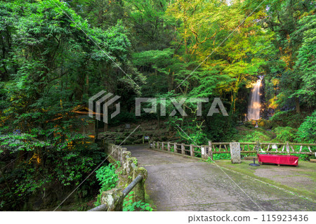 白絲瀑布週邊風景「數十萬年前由火山岩形成的美麗的白絲瀑布(又稱「賴姬瀑布」)」阿蘇地區西原村 白絲瀑布週邊風景「數十萬年前由火山岩形成的美麗的白絲瀑布(又稱「賴姬瀑布」)」阿蘇地區西原村 115923436