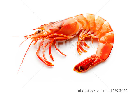 Red cooked tiger king prawn or shrimp isolated on white background with clipping path Red cooked tiger king prawn or shrimp isolated on white background with clipping path 115923491