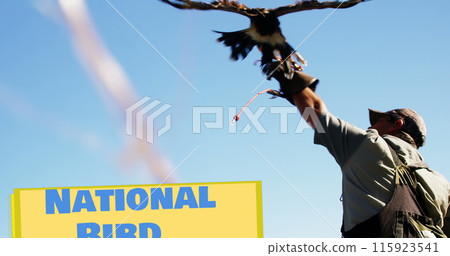 Image of national bird day over man with bird of prey 115923541