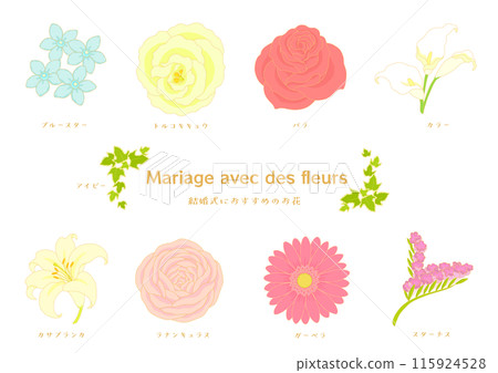 Recommended flowers for weddings Illustration set Recommended flowers for weddings Illustration set 115924528