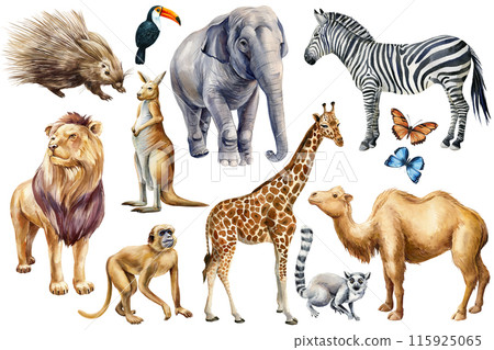 Set animals watercolor. Wildlife cute animal, Hand painted zoo clipart camel, kangaroo, lion, monkey, elephant and lemur 115925065