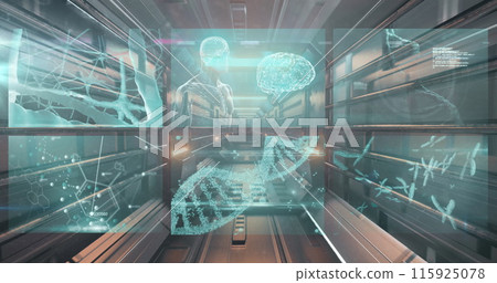 Image of dna, brain and medical data processing on interface screens 115925078