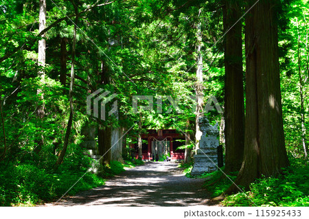 Togakushi Shrine, Okusha, Suishinmon Gate 115925433