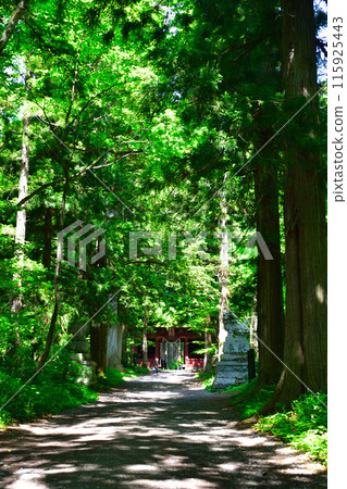 Togakushi Shrine, Okusha, Suishinmon Gate Togakushi Shrine, Okusha, Suishinmon Gate 115925443
