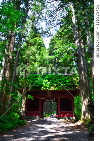 Togakushi Shrine, Okusha, Suishinmon Gate Togakushi Shrine, Okusha, Suishinmon Gate 115925455