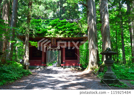 戶隱神社奧社素神門 115925484