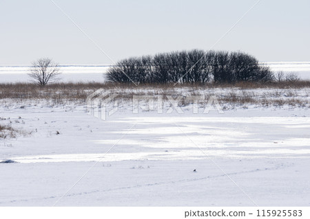Winter scenery of Notsuke Peninsula Winter scenery of Notsuke Peninsula 115925583