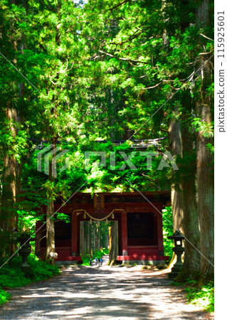 Togakushi Shrine, Okusha, Suishinmon Gate 115925601