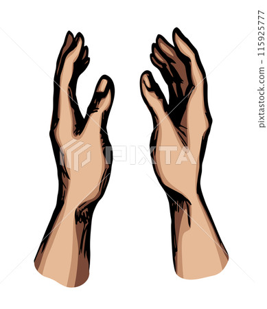 Young human hands. Vector drawing Young human hands. Vector drawing 115925777