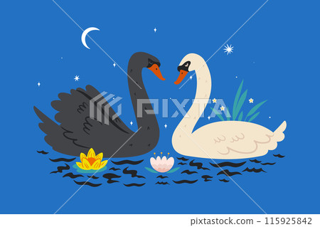 Postcard with swans on the pond. Vector graphics. 115925842