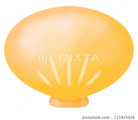 黃色貝殼插畫 黃色貝殼插畫 115925926