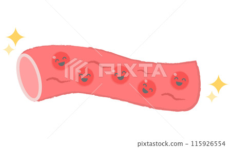 Beautiful blood vessels, smooth blood 115926554