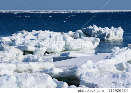 冬季野付半島的流冰 115926984