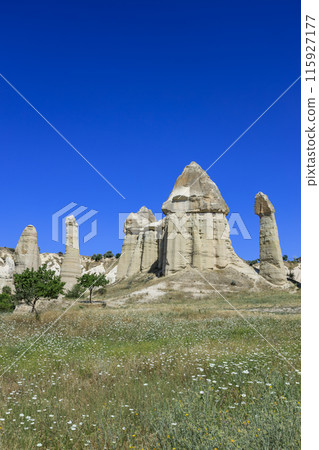 愛情谷仙女煙囪 115927177