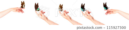 butterfly on woman's hand. In motion 115927300