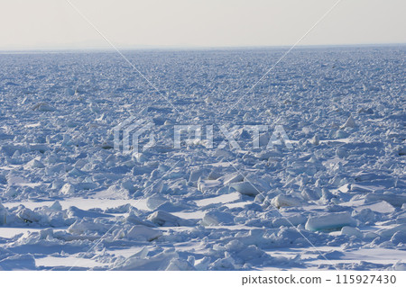 Drift ice covering the coast Drift ice covering the coast 115927430