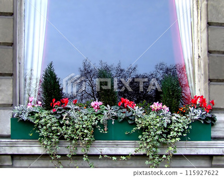 Reflection in a window 115927622