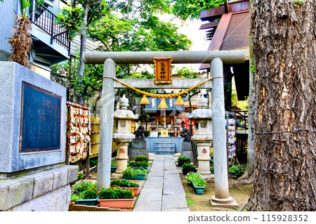 [Tokyo] Early summer at Koenji Hikawa Shrine - Weather Shrine within the grounds 115928352