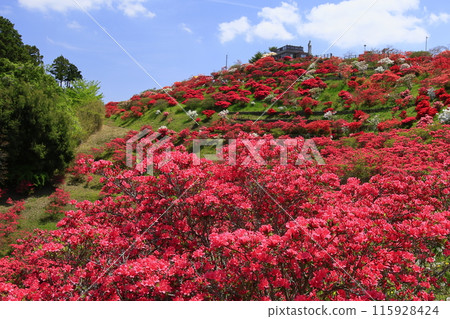 Kasama杜鵑花公園 Kasama杜鵑花公園 115928424