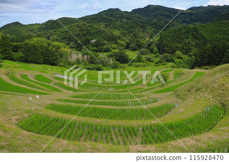 與梯田的風景 與梯田的風景 115928470