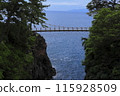 Kadowaki suspension bridge 115928509