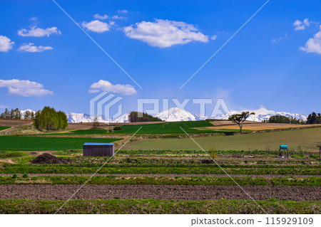 The beautiful town of Biei The beautiful town of Biei 115929109