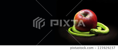 The snake lies near the apple 115929237