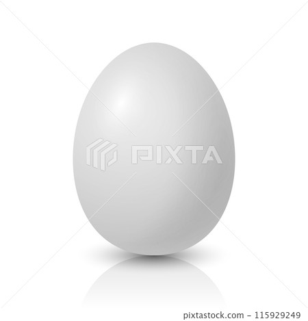 Vector Realistic White Chicken Egg Icon Closeup Isolated. Glossy Chicken Egg. Vector Whole Egg with Reflection. Front View 115929249