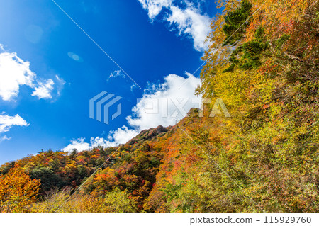 The UFO Line: A road leading to the spectacular sky 115929760