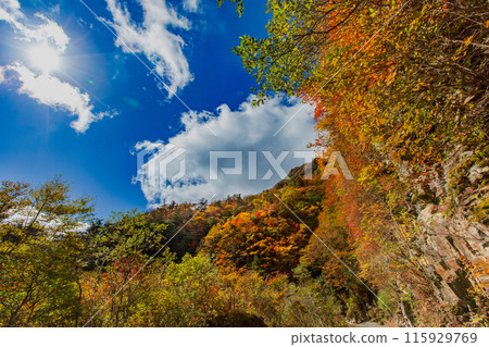 The UFO Line: A road leading to the spectacular sky The UFO Line: A road leading to the spectacular sky 115929769