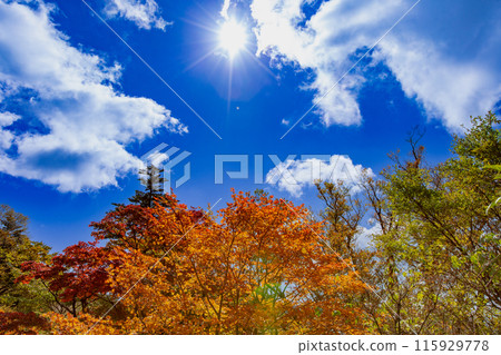 通往壯觀天空的道路－UFO線 115929778