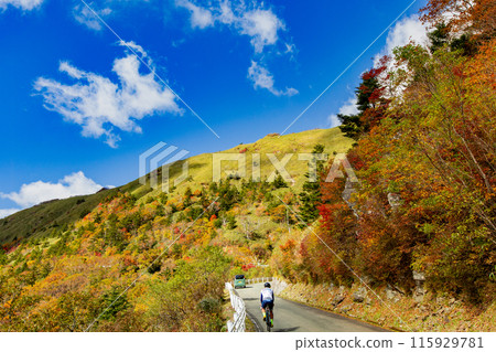 The UFO Line: A road leading to the spectacular sky 115929781