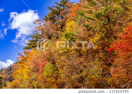 The UFO Line: A road leading to the spectacular sky 115929785