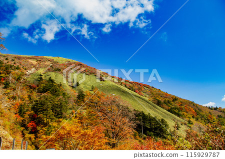 The UFO Line: A road leading to the spectacular sky The UFO Line: A road leading to the spectacular sky 115929787