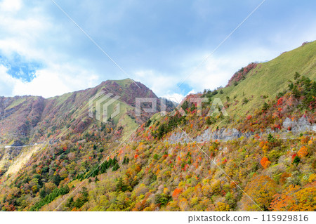 The UFO Line: A road leading to the spectacular sky The UFO Line: A road leading to the spectacular sky 115929816