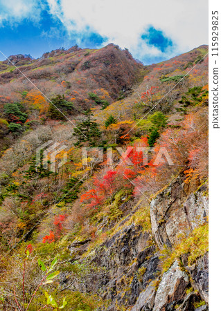 The UFO Line: A road leading to the spectacular sky The UFO Line: A road leading to the spectacular sky 115929825