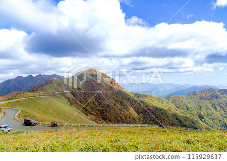 The UFO Line: A road leading to the spectacular sky The UFO Line: A road leading to the spectacular sky 115929837